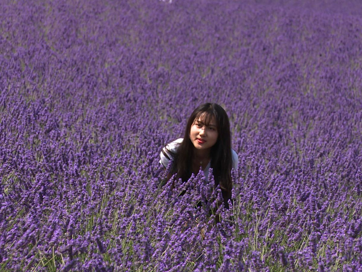 Les Chinois fous de Provence – Chef Opérateur&nbsp;–