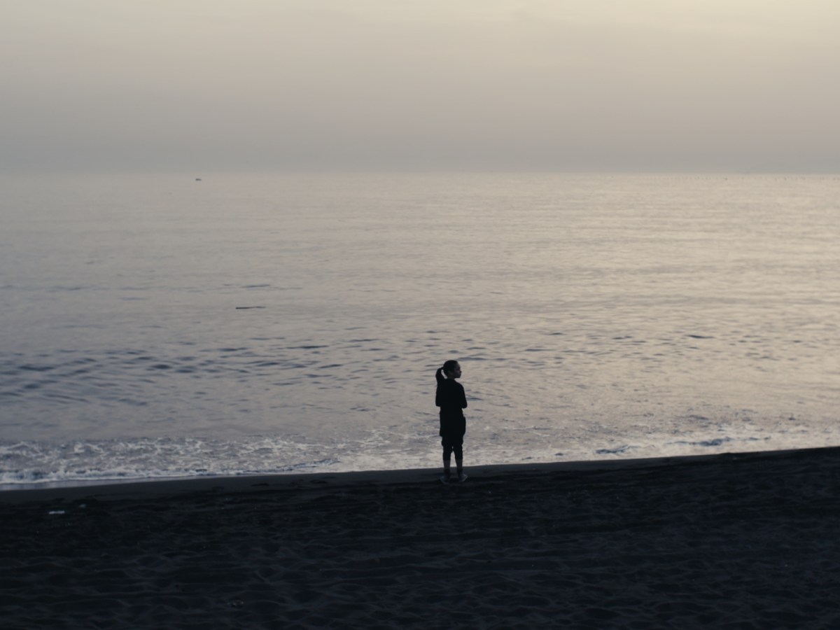 Anatomia del Miracolo – Chef Opérateur&nbsp;–