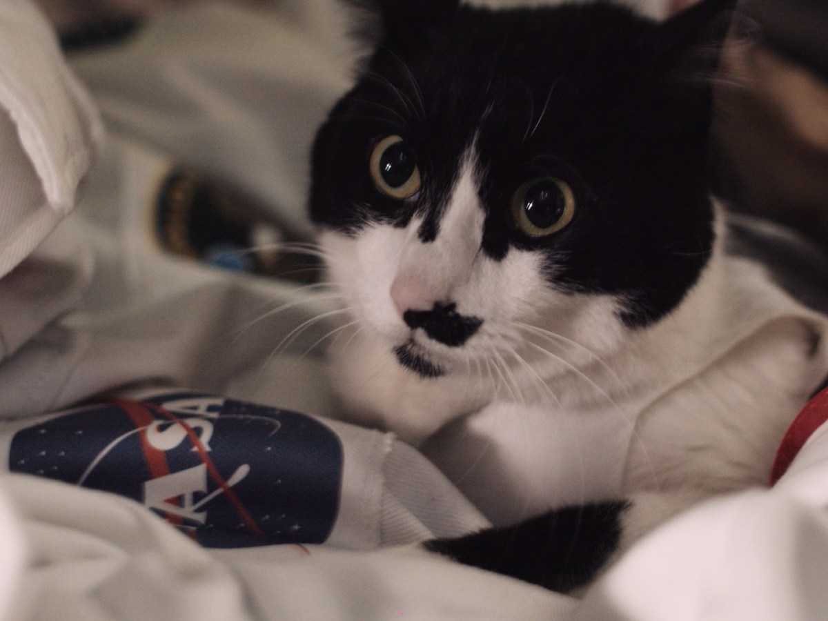 La Mécanique des Choses – Chef Opérateur&nbsp;–